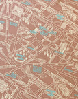Pink Paris Map Scarf