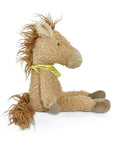 Pony Boy Horse