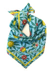 Silk Scarf - Sumer Fruit