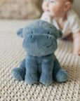 Little Henry Hippo