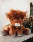 Hamish Highland Cow