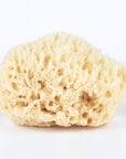 Wool Sponge - Small