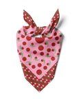 Tomatoes Cotton Silk Bandana