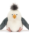 Chip Seagull