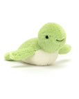 Fluffy Turtle