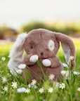 Baby Harriet Hare
