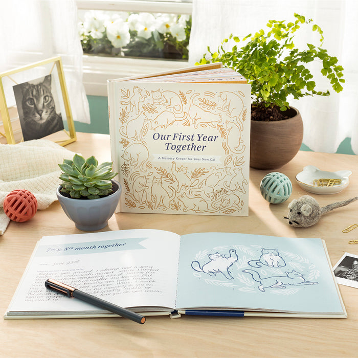 Our First Year Together - Cat