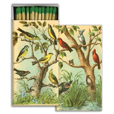 Matchbox - Bird Studies
