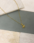 Figgy Horse Charm