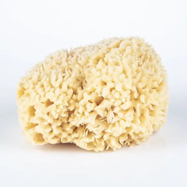 Wool Sponge - Large