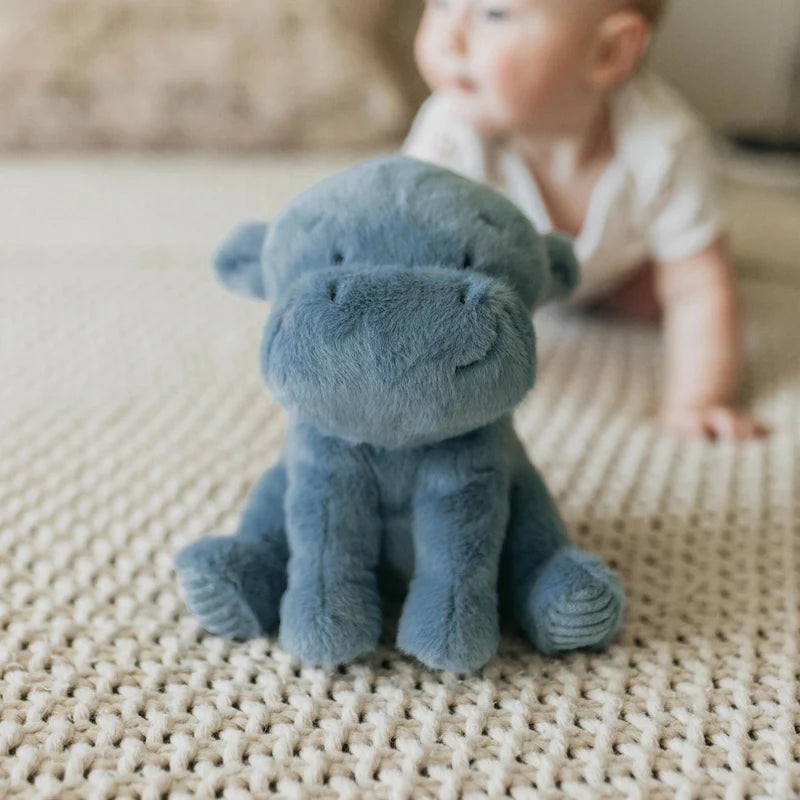 Little Henry Hippo