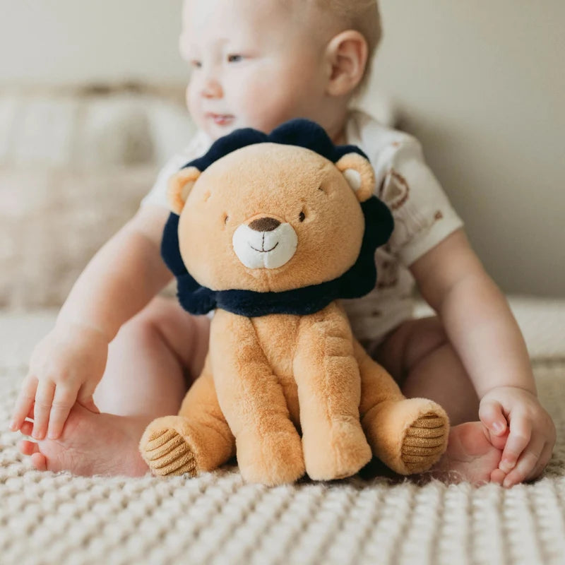 Little Lenny Lion