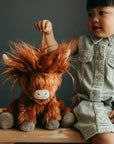 Hamish Highland Cow
