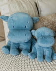 Little Henry Hippo
