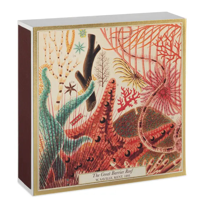 Matchbox - Great Barrier Reef