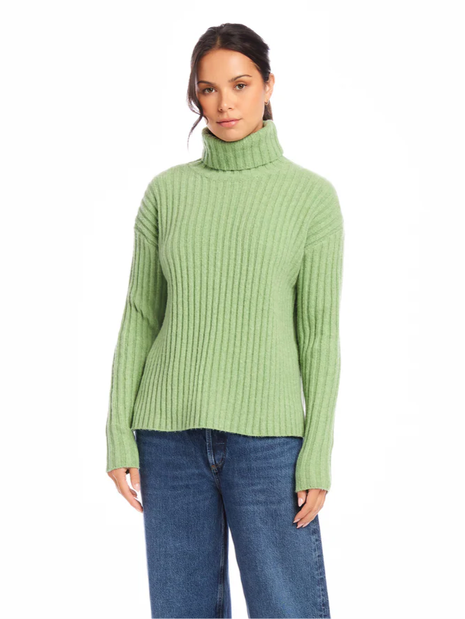 Claudia Turtleneck Sweater - Sage