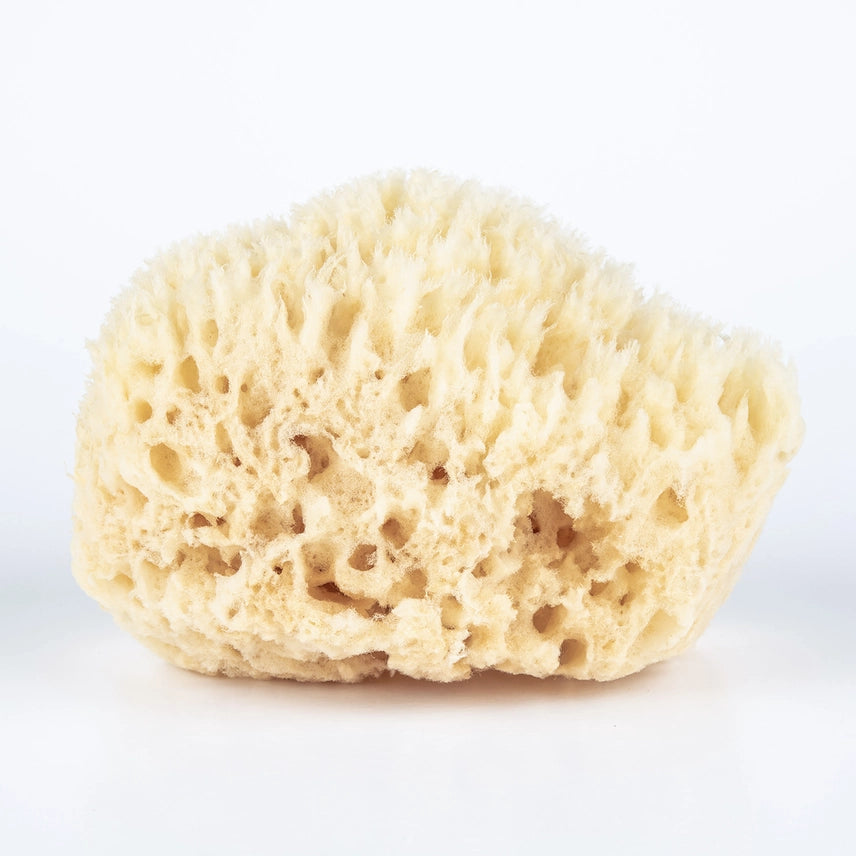 Wool Sponge - Small