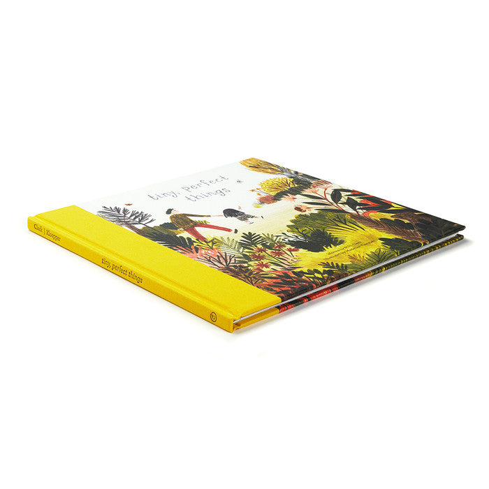 Tiny Perfect Things Book
