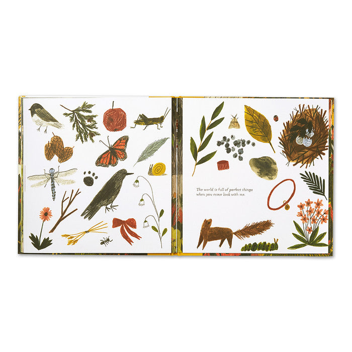 Tiny Perfect Things Book