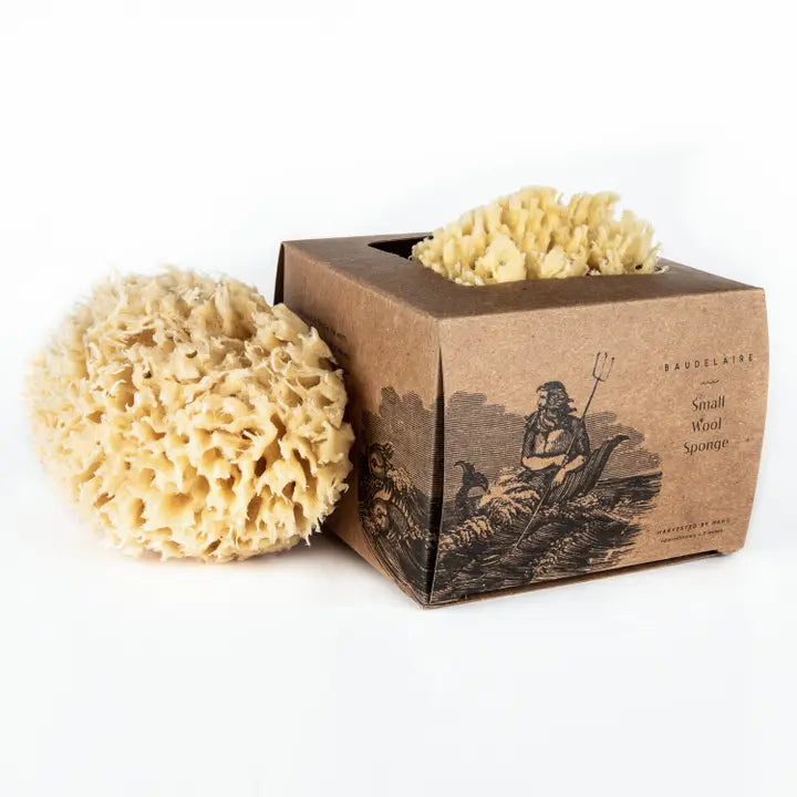Wool Sponge - Small Box