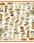 Silk Scarf - Vintage Mushroom