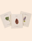 Our Little Adventure Box Book Set