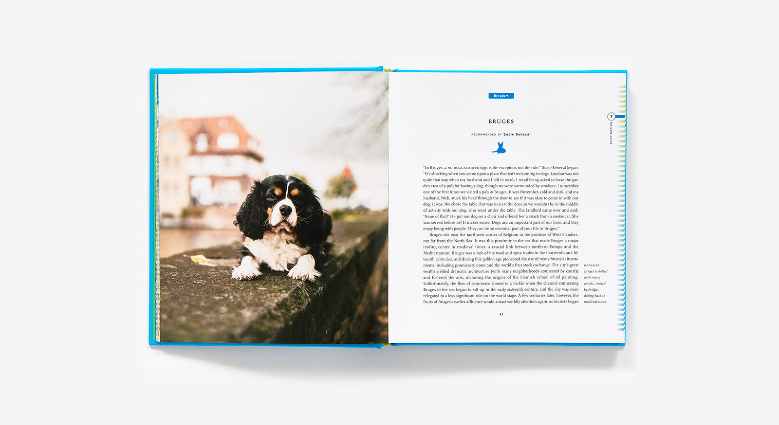 50 Places to Travel With Your Dog