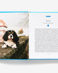 50 Places to Travel With Your Dog