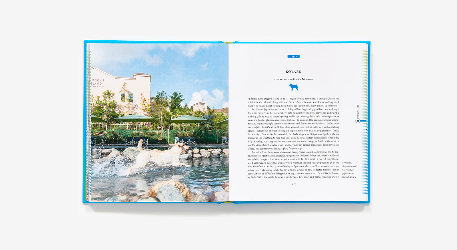 50 Places to Travel With Your Dog