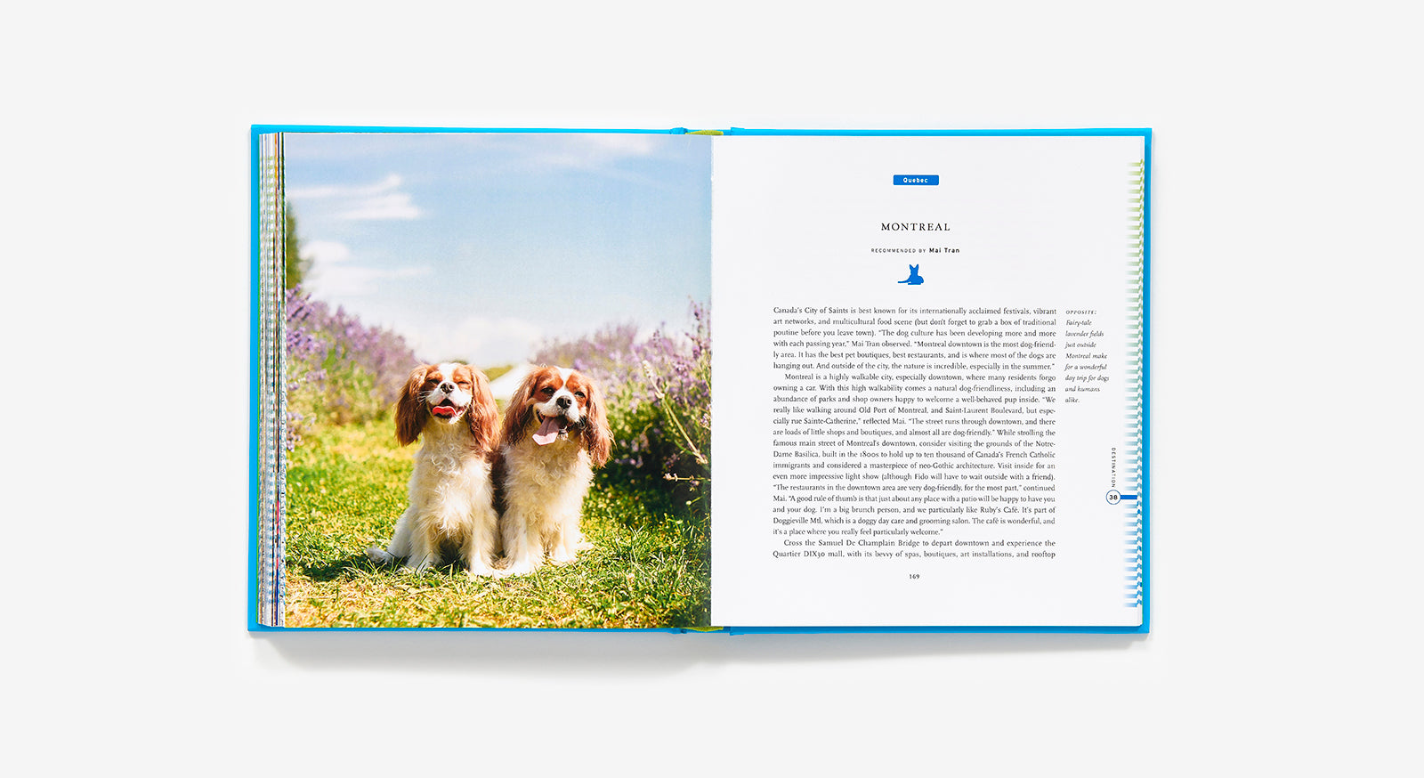 50 Places to Travel With Your Dog