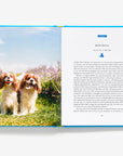 50 Places to Travel With Your Dog