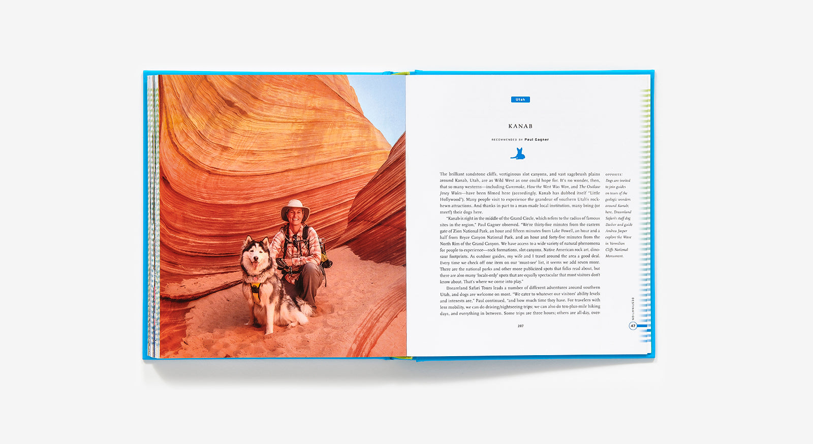 50 Places to Travel With Your Dog