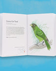 The Field Guide to Dumb Birds of The Whole Stupid World