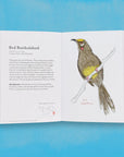 The Field Guide to Dumb Birds of The Whole Stupid World