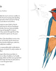Dumb Birds: Field Guide to the Worst Birds Ever