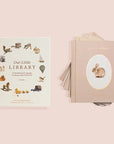 Our Little Library Book Set