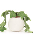 Amuseable Ivy