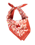 Delphine Bandana