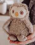 Blink the Owl