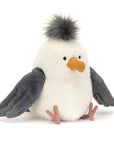 Chip Seagull