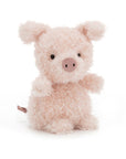 Little Pig