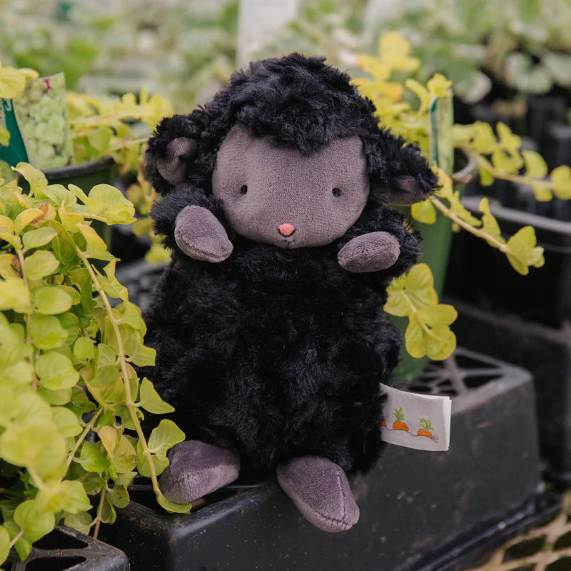 Wee Kiddo Lamb - Black