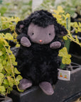 Wee Kiddo Lamb - Black