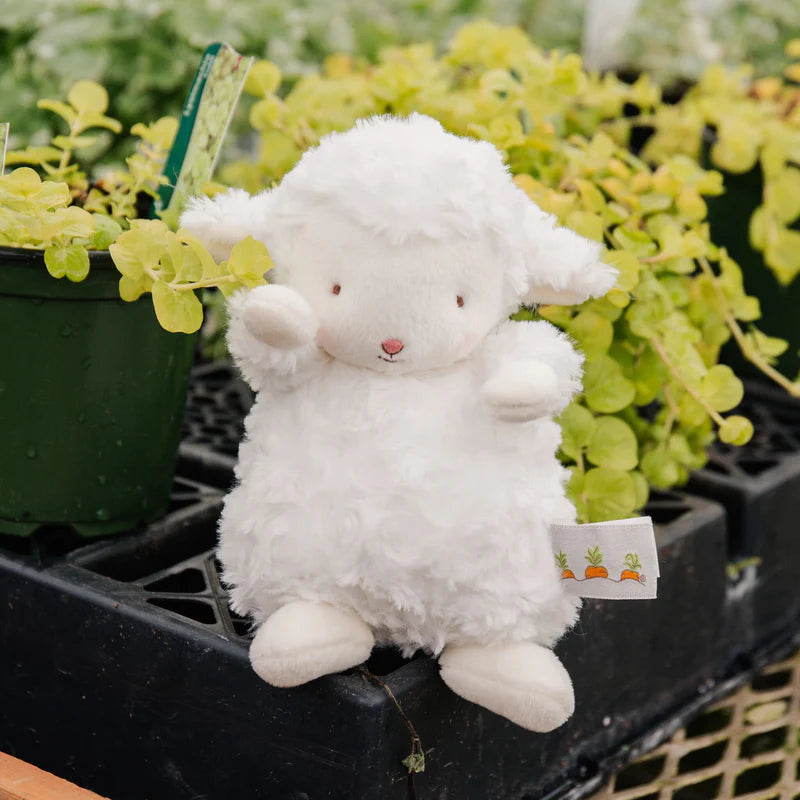 Wee Kiddo Lamb - White