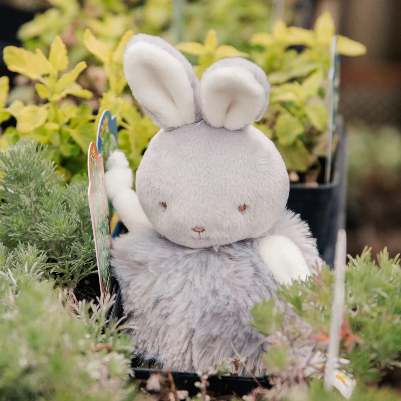 Roly Poly Bunny - Gray
