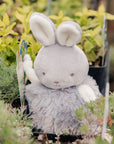 Roly Poly Bunny - Gray