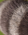 Trixiwoo Raccoon