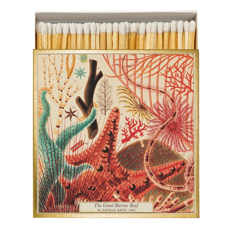 Matchbox - Great Barrier Reef
