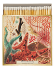 Matchbox - Great Barrier Reef