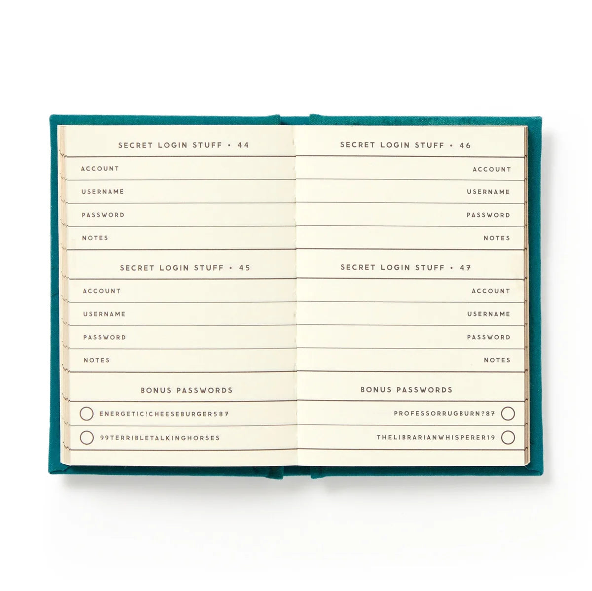 Definitely Not My Passwords Tiny Diary